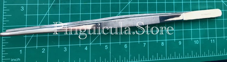 (image for) Aquascaping Bonsai Iwagumi Plant Tool - Tweezers - Stainless - Click Image to Close